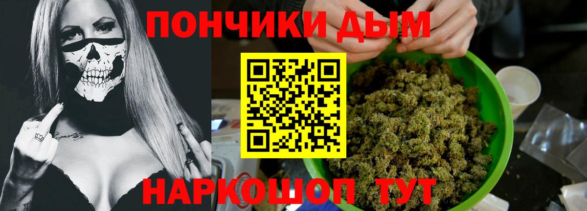Каннабис конопля Сосновый Бор